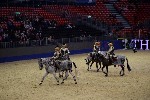 Quadrille - 00766